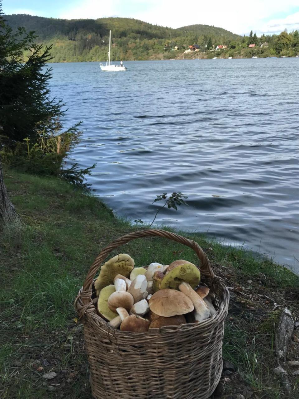 Dum A Dum Zivohost Hotel Bagian luar foto